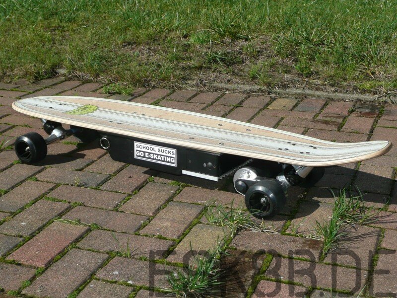 hornet-250-mit-globe-longboard-deck-bamboo-transkontinental-heisst-glaube-ich-712.jpg