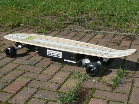 Hornet 250 mit Globe Longboard Deck (Bamboo Transkontinental heisst das glaube ich)