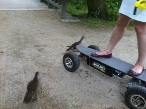 Mein Freundin fährt mit meinen Schwarzdeck MO BO und es liefen,Enden über die Straße bzw.Parkweg:-)