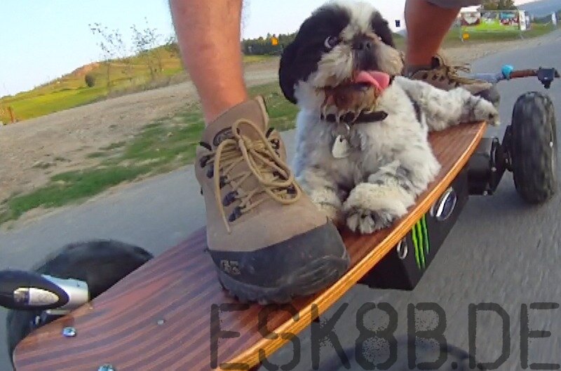 skatedog