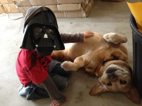 Darth using his powers to make oscar roll over and helping assemble orders