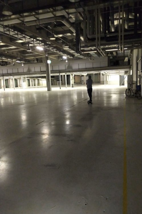 WhatsApp Image 2018-11-20 at 17.45.53.jpeg