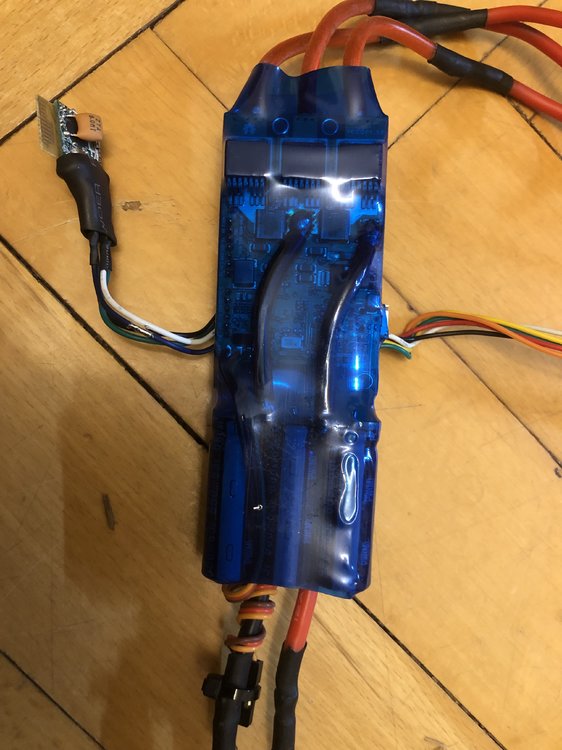 2019-03-14 19.02.55.jpg