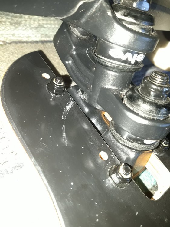 WhatsApp Image 2019-08-21 at 07.59.10.jpeg